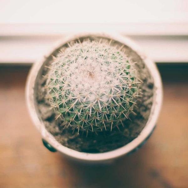 Книга "Clean Code"