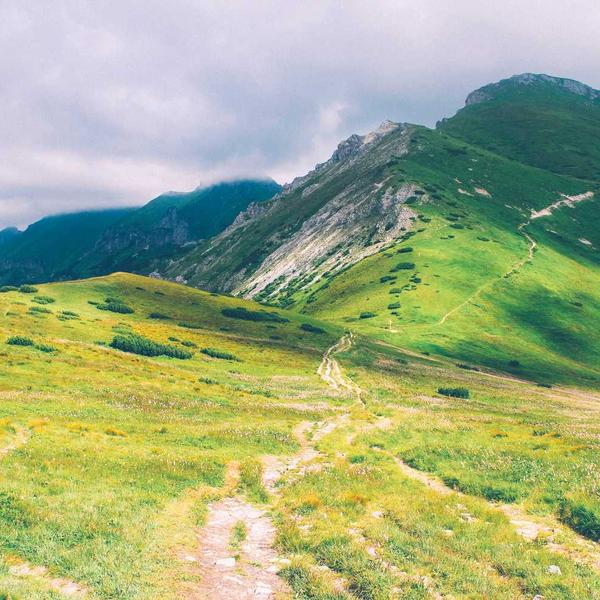 Худі з капюшоном