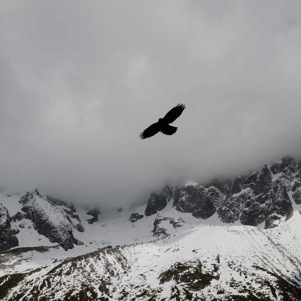 Коврик для миші